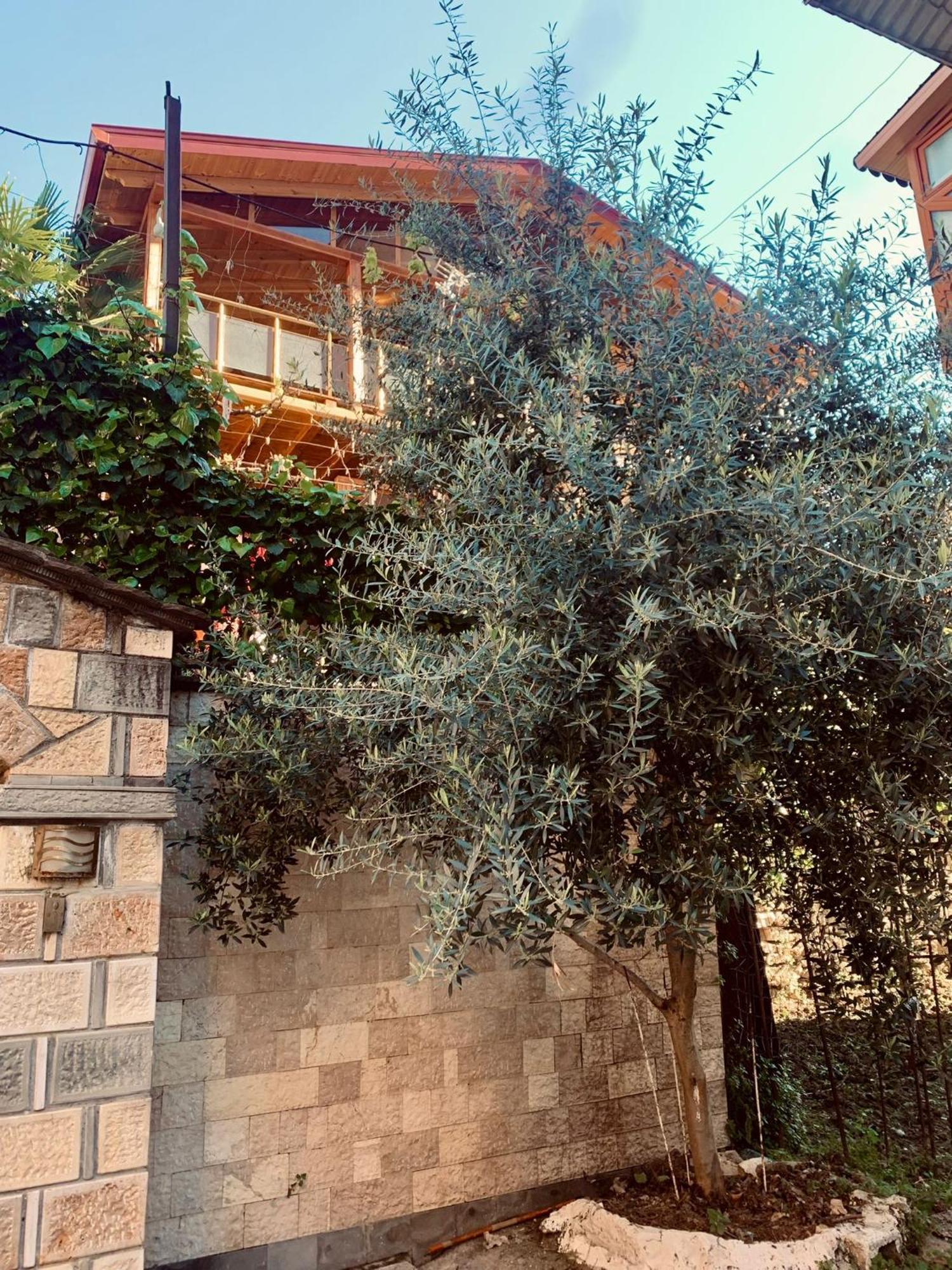 Alimeti Guesthouse Берат Екстериор снимка