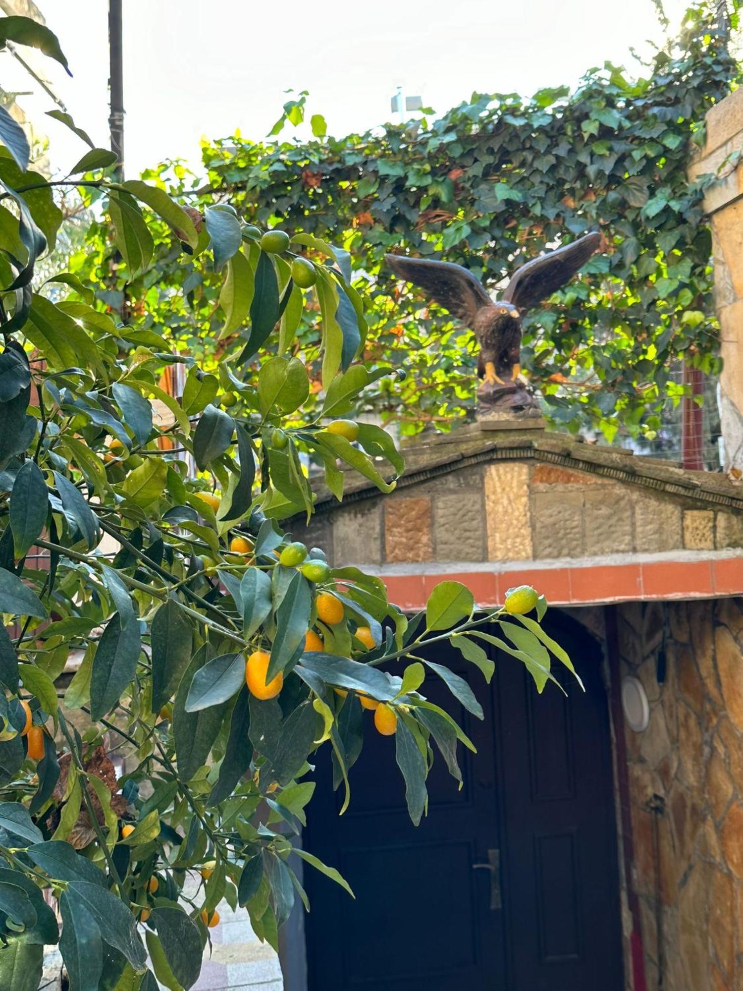 Alimeti Guesthouse Берат Екстериор снимка